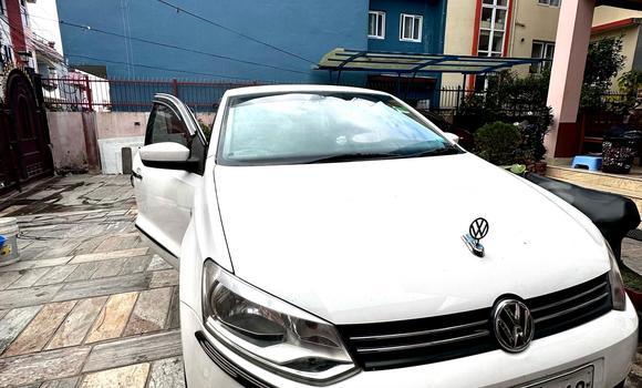 Buy Used Volkswagen Polo White Car in Kathmandu in Bagmati Buy Used Volkswagen Polo White Car in Kathmandu in Bagmati