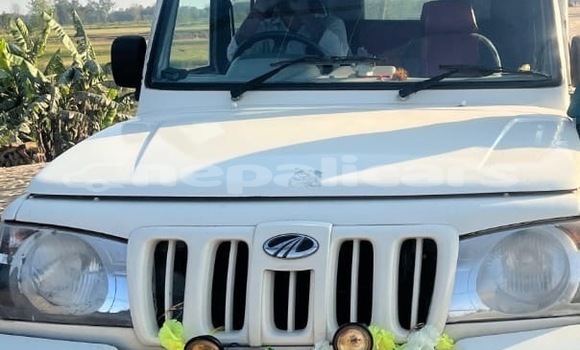 Buy Used Mahindra Bolero White Car in Siraha in Sagarmatha Buy Used Mahindra Bolero White Car in Siraha in Sagarmatha
