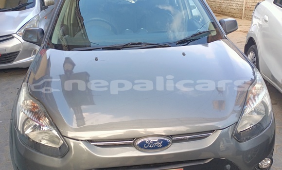 Buy Used Ford Freestyle Beige Car in Bhadrapur in Mechi Buy Used Ford Freestyle Beige Car in Bhadrapur in Mechi
