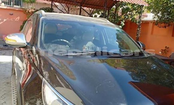 Buy Used Kia Sportage Black Car in Kathmandu in Bagmati