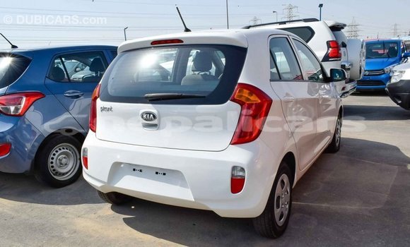 Buy Import Kia Picanto White Car in Import - Dubai in Bagmati Buy Import Kia Picanto White Car in Import - Dubai in Bagmati