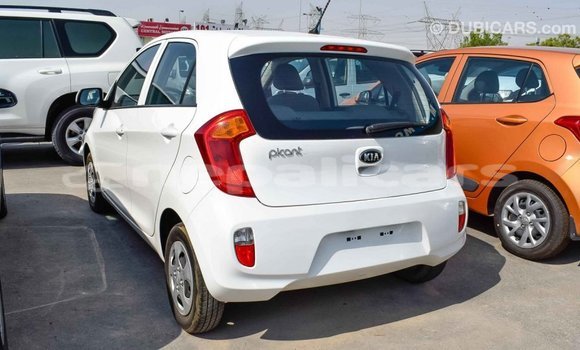 Buy Import Kia Picanto White Car in Import - Dubai in Bagmati Buy Import Kia Picanto White Car in Import - Dubai in Bagmati