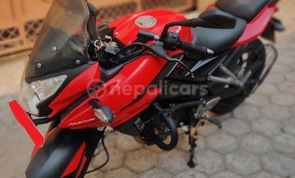 Buy Used Bajaj PULSAR Red Bike in Kathmandu in Bagmati Buy Used Bajaj PULSAR Red Bike in Kathmandu in Bagmati