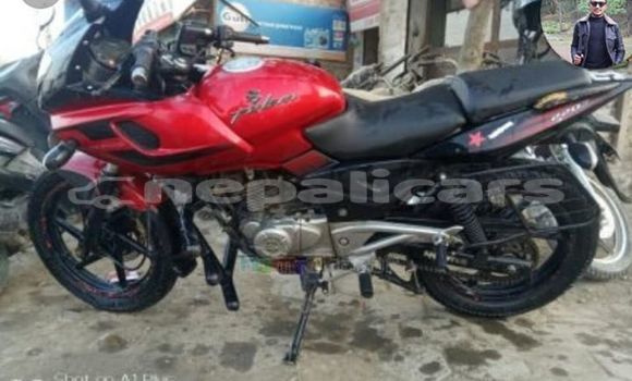 Buy Used Bajaj PULSAR Red Bike in Kathmandu in Bagmati Buy Used Bajaj PULSAR Red Bike in Kathmandu in Bagmati