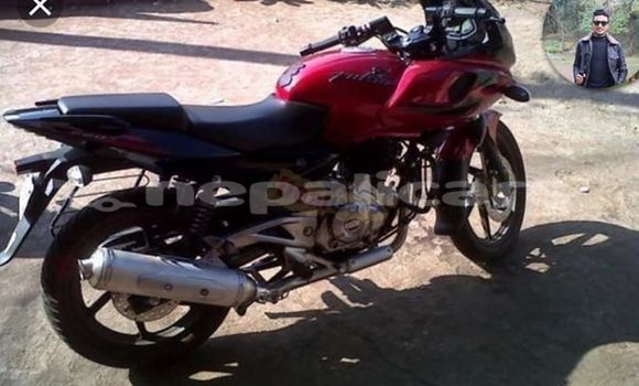 Buy Used Bajaj PULSAR Red Bike in Kathmandu in Bagmati Buy Used Bajaj PULSAR Red Bike in Kathmandu in Bagmati