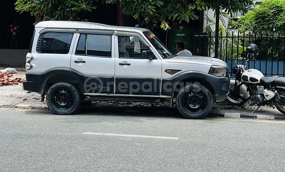 Buy New Mahindra Scorpio Silver Car in Bharatpur in Narayani Buy New Mahindra Scorpio Silver Car in Bharatpur in Narayani