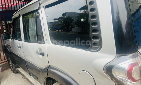 Buy New Mahindra Scorpio Silver Car in Bharatpur in Narayani Buy New Mahindra Scorpio Silver Car in Bharatpur in Narayani