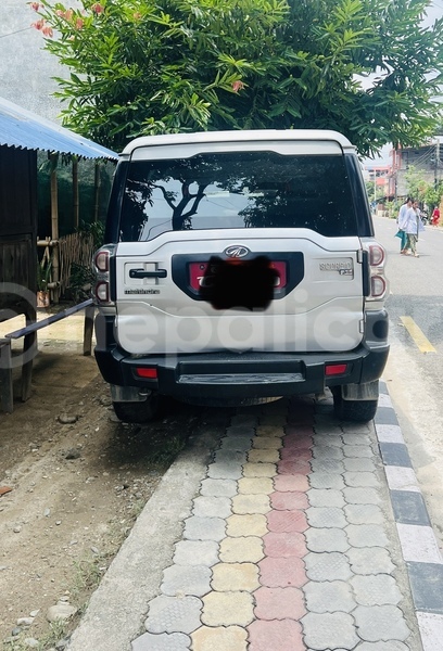 Big with watermark mahindra scorpio narayani bharatpur 5062