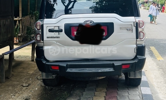 Buy New Mahindra Scorpio Silver Car in Bharatpur in Narayani Buy New Mahindra Scorpio Silver Car in Bharatpur in Narayani