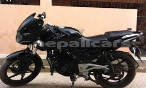 Buy Used Bajaj PULSAR Black Bike in Kathmandu in Bagmati Buy Used Bajaj PULSAR Black Bike in Kathmandu in Bagmati