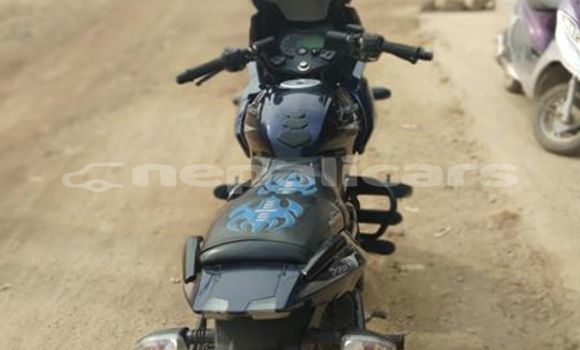 Buy Used Bajaj PULSAR Blue Bike in Kathmandu in Bagmati Buy Used Bajaj PULSAR Blue Bike in Kathmandu in Bagmati