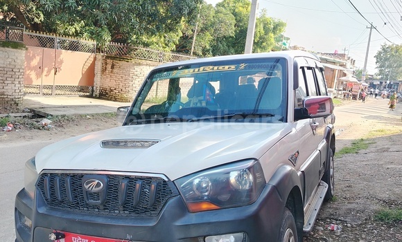 Buy Used Mahindra Scorpio White Car in Janakpur in Janakpur