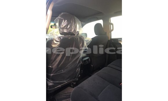 Buy Import Toyota Prado Black Car in Import - Dubai in Bagmati Buy Import Toyota Prado Black Car in Import - Dubai in Bagmati