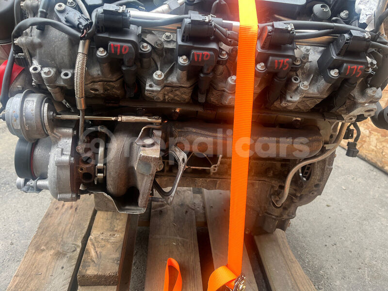 Big with watermark s l16007