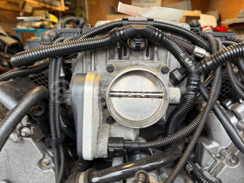 Big with watermark 12