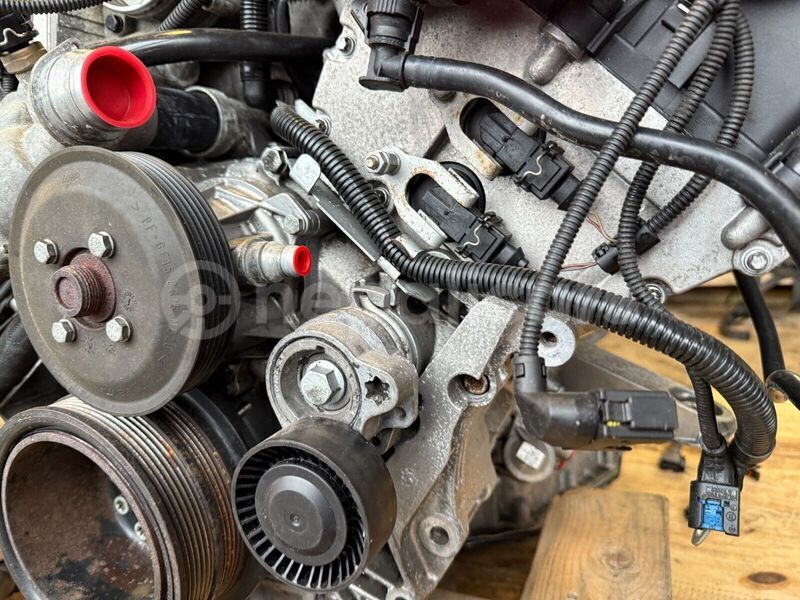 Big with watermark 13