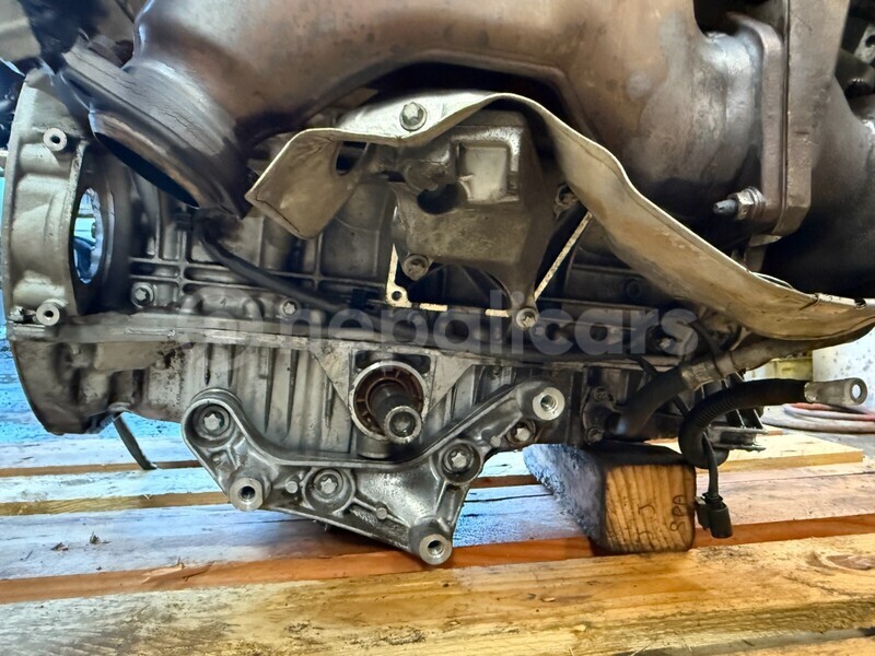 Big with watermark 8