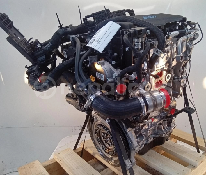 Big with watermark s l16001