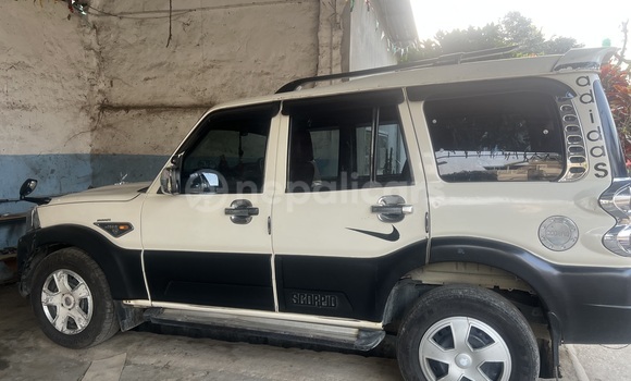 Buy Used Mahindra Scorpio White Car in Bharatpur in Narayani Buy Used Mahindra Scorpio White Car in Bharatpur in Narayani