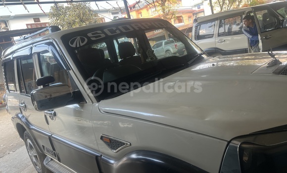 Buy Used Mahindra Scorpio White Car in Bharatpur in Narayani Buy Used Mahindra Scorpio White Car in Bharatpur in Narayani
