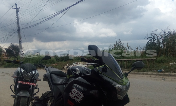 Buy Used Honda CBR Green Bike in Lalitpur in Bagmati