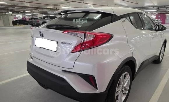 Buy Used Toyota C-HR White Car in Banganga in Lumbini province Buy Used Toyota C-HR White Car in Banganga in Lumbini province