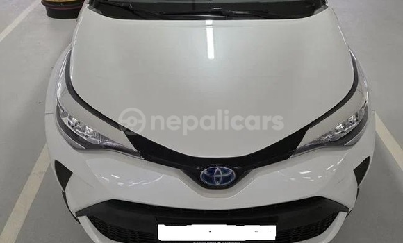 Buy Used Toyota C-HR White Car in Banganga in Lumbini province Buy Used Toyota C-HR White Car in Banganga in Lumbini province