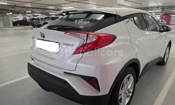 Buy Used Toyota C-HR White Car in Banganga in Lumbini province Buy Used Toyota C-HR White Car in Banganga in Lumbini province