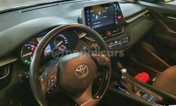 Buy Used Toyota C-HR White Car in Banganga in Lumbini province Buy Used Toyota C-HR White Car in Banganga in Lumbini province