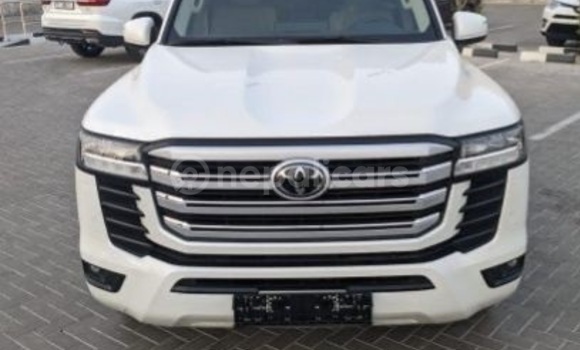 Buy Used Toyota Land Cruiser White Car in Banganga in Lumbini province