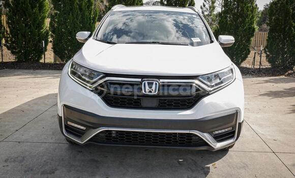 Buy Used Honda CR–V White Car in Bhadrapur in Mechi Buy Used Honda CR–V White Car in Bhadrapur in Mechi