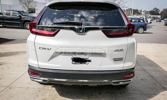 Buy Used Honda CR–V White Car in Bhadrapur in Mechi Buy Used Honda CR–V White Car in Bhadrapur in Mechi