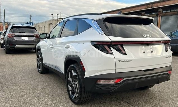 Buy Used Hyundai Tucson White Car in Baglung bazaar in Gandaki province Buy Used Hyundai Tucson White Car in Baglung bazaar in Gandaki province