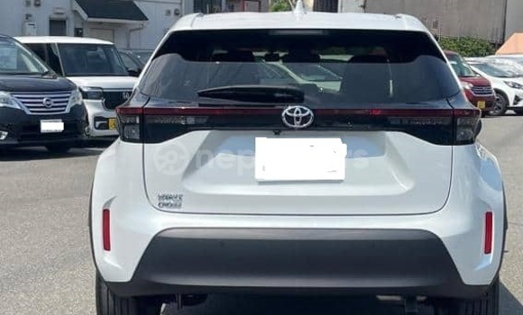 Buy Used Toyota Yaris White Car in Bhadrapur in Mechi Buy Used Toyota Yaris White Car in Bhadrapur in Mechi