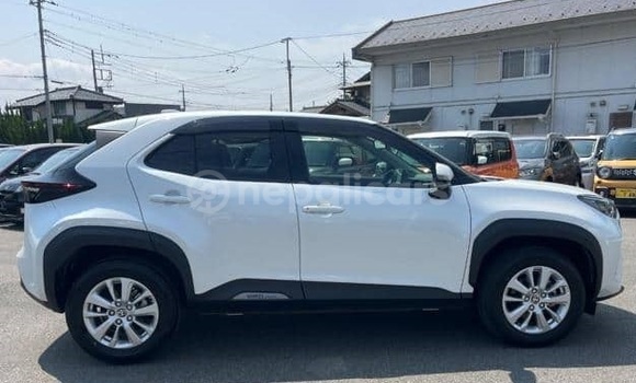 Buy Used Toyota Yaris White Car in Bhadrapur in Mechi Buy Used Toyota Yaris White Car in Bhadrapur in Mechi