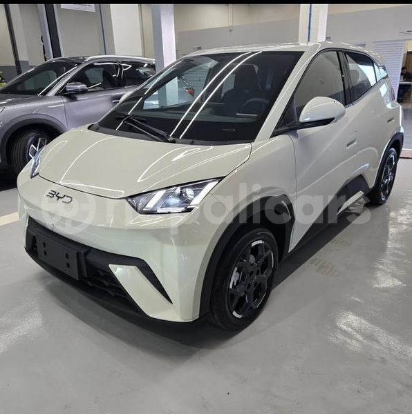 Big with watermark byd dolphin mechi bhadrapur 5453