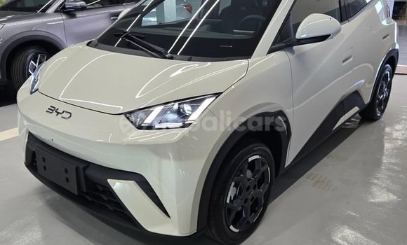 Buy Used BYD Dolphin White Car in Bhadrapur in Mechi