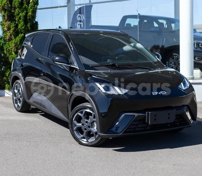 Big with watermark byd dolphin mechi bhadrapur 5453