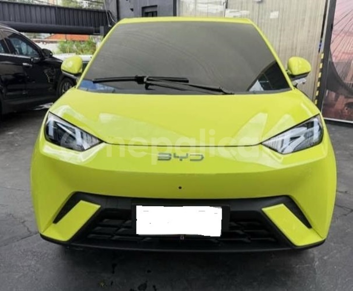 Big with watermark byd dolphin mechi bhadrapur 5453