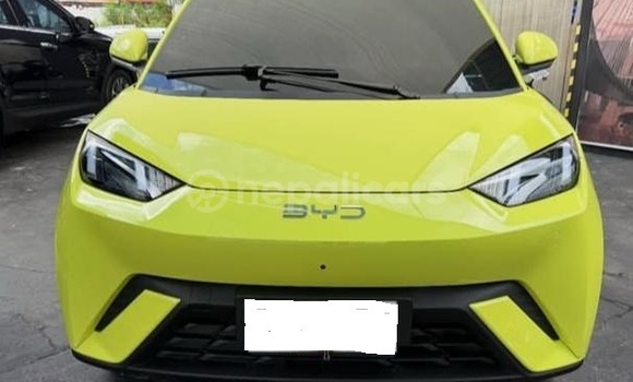 Buy Used BYD Dolphin White Car in Bhadrapur in Mechi Buy Used BYD Dolphin White Car in Bhadrapur in Mechi