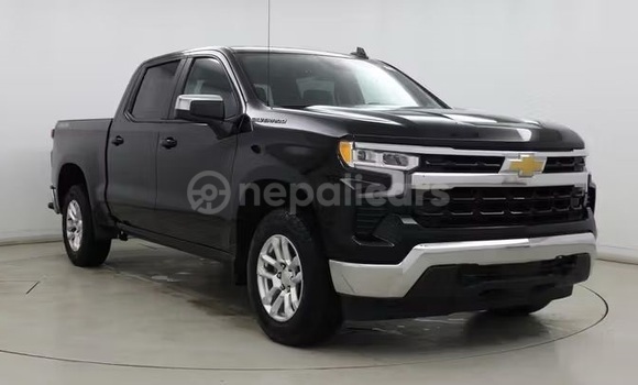 Buy Used Chevrolet Silverado Black Car in Bhadrapur in Mechi