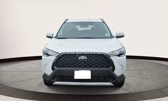 Buy Used Toyota Corolla Cross White Car in Bhadrapur in Mechi Buy Used Toyota Corolla Cross White Car in Bhadrapur in Mechi