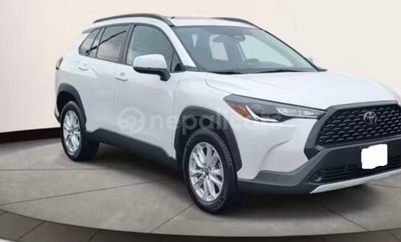 Buy Used Toyota Corolla Cross White Car in Bhadrapur in Mechi Buy Used Toyota Corolla Cross White Car in Bhadrapur in Mechi