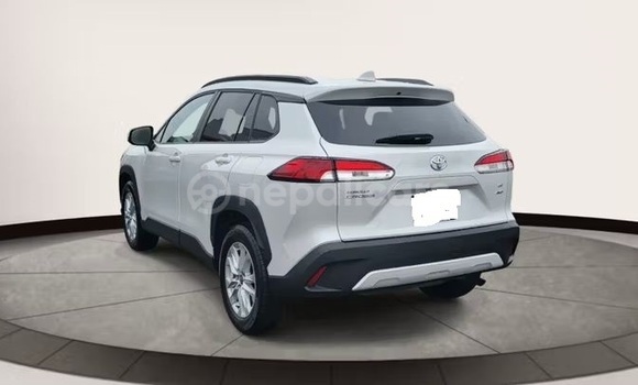 Buy Used Toyota Corolla Cross White Car in Bhadrapur in Mechi Buy Used Toyota Corolla Cross White Car in Bhadrapur in Mechi