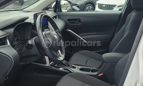 Buy Used Toyota Corolla Cross White Car in Bhadrapur in Mechi Buy Used Toyota Corolla Cross White Car in Bhadrapur in Mechi