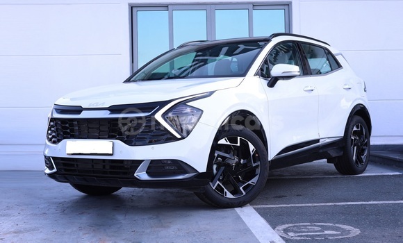 Buy Used Kia Sportage White Car in Bhadrapur in Mechi