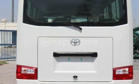 Buy Used Toyota Coaster White Car in Bharatpur in Narayani Buy Used Toyota Coaster White Car in Bharatpur in Narayani