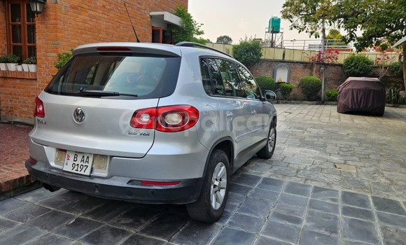 Buy Used Volkswagen Tiguan Light gray Car in Lalitpur inside ring road in Bagmati province Buy Used Volkswagen Tiguan Light gray Car in Lalitpur inside ring road in Bagmati province