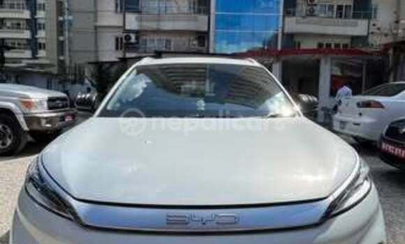Buy Used BYD Atto 1 Other Car in Kathmandu in Bagmati