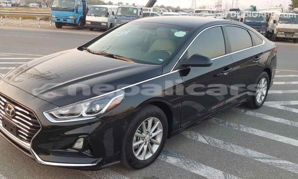 Buy Import Hyundai Sonata Black Car in Import - Dubai in Bagmati Buy Import Hyundai Sonata Black Car in Import - Dubai in Bagmati